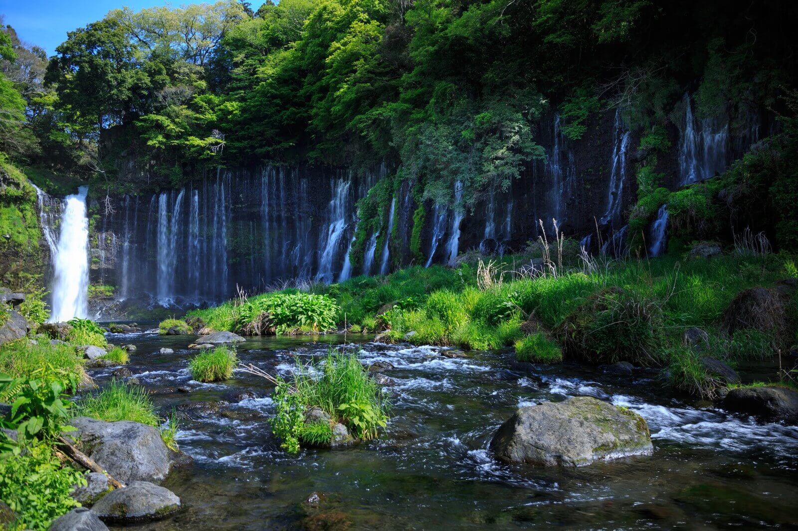 静岡県の滝